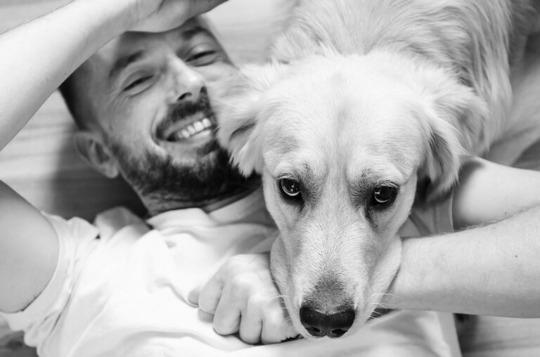 El ser humano y los perros; la mascota predilecta