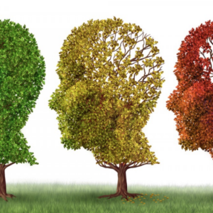 ¿Qué es el Alzheimer? Como y donde conseguir la mejor información sobre esta enfermedad