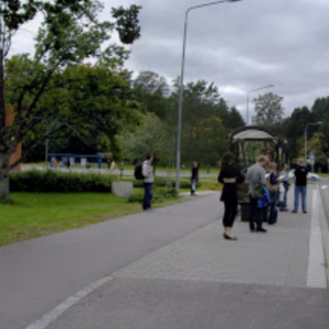 La extraña costumbre de los finlandeses en las paradas de autobús