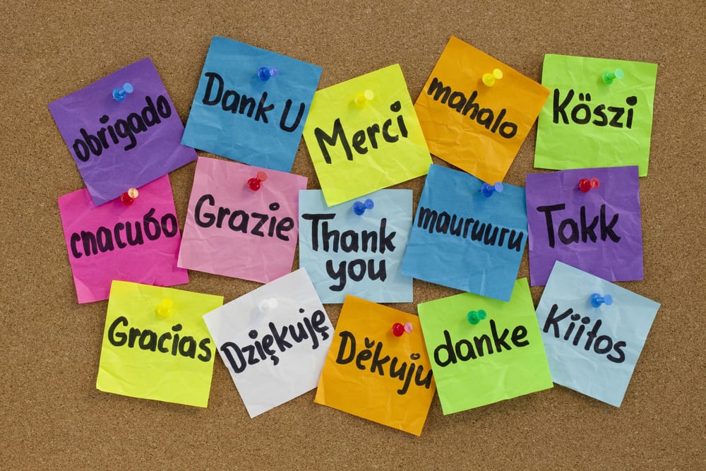 Thank you in sixteen languages - colorful sticky notes with handwriting on cork bulletin board