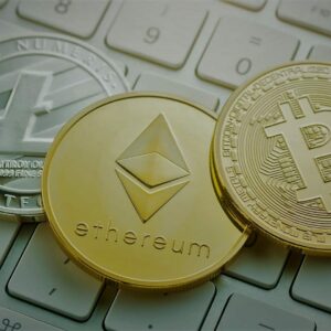 Consejos para introducirte en las criptomonedas y empezar a sacarles partido