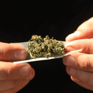 BBVA, Bankinter y La Caixa invierten casi 3 millones de euros en Marihuana
