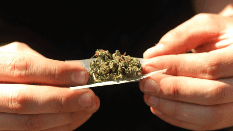 BBVA, Bankinter y La Caixa invierten casi 3 millones de euros en Marihuana