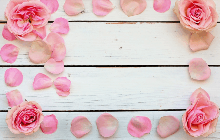 Fotógrafos de boda, ¿cómo contrato sus servicios?