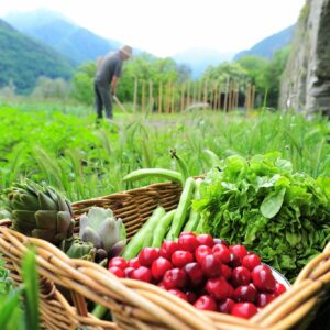 Una alimentación saludable nos permitirá más calidad de vida