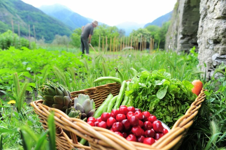 Una alimentación saludable nos permitirá más calidad de vida