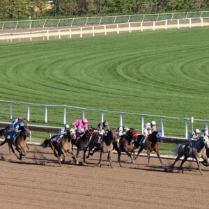 Los diferentes tipos de apuestas deportivas