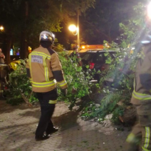Seis heridos al caer un árbol sobre unos veladores en Sevilla