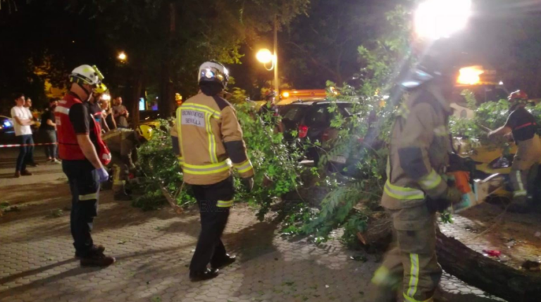 Seis heridos al caer un árbol sobre unos veladores en Sevilla