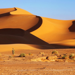 Qué puedes encontrar si viajas a Argelia estas vacaciones