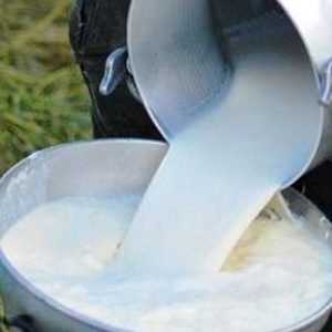 La leche cruda puede causarte la muerte si no la tratas apropiadamente