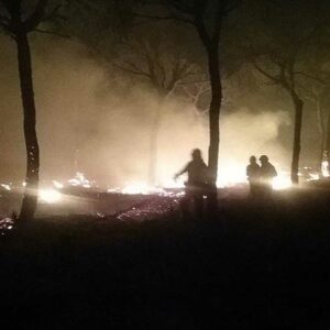 Lo trincan cuando iba a meter fuego al campo en Lepe ( Huelva)