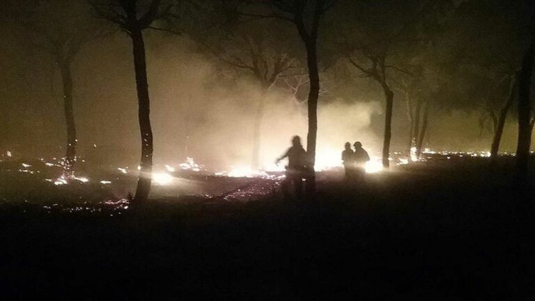 Lo trincan cuando iba a meter fuego al campo en Lepe ( Huelva)
