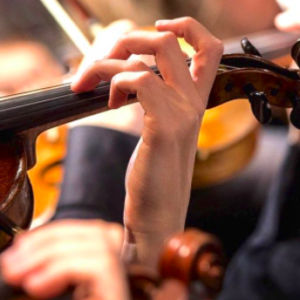 Aprender a tocar el violín: beneficios y consejos para un mejor aprendizaje. Sevilla, Ciudad de la música.