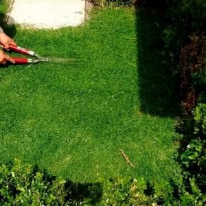 Los mejores artículos para arreglar jardines