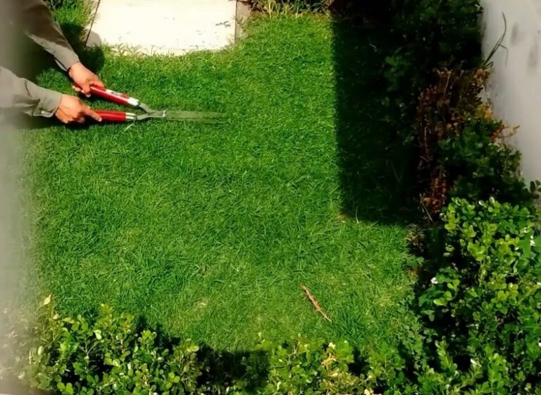 Los mejores artículos para arreglar jardines