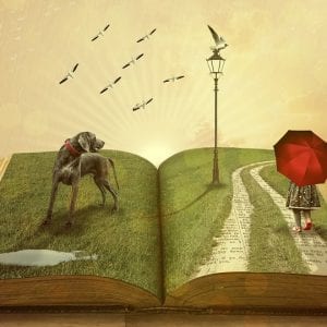 La lectura para niños refuerza los valores y desarrolla la inteligencia emocional