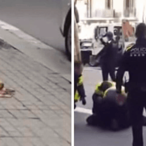 Conmoción en Barcelona por la muerte de una perra abatida a tiros por la Guardia Urbana