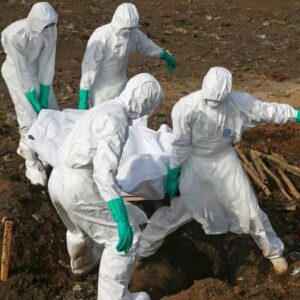 Descubren una proteína que bloquea el ébola en los seres humanos