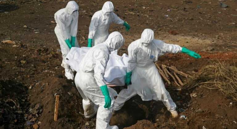 Descubren una proteína que bloquea el ébola en los seres humanos