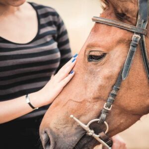 Beneficios de las terapias con animales y con la naturaleza
