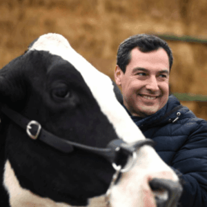 Moreno Bonilla será presidente de la Junta de Andalucía tras lograr el apoyo de Vox