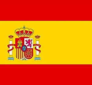 Echenique coloca la bandera de España en su perfil de Twitter y explica por qué