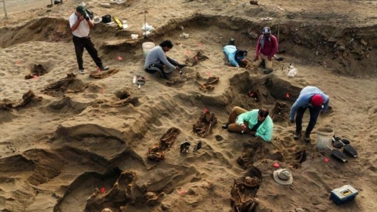 Descubren 132 niños sacrificados en Perú durante el periodo precolombino