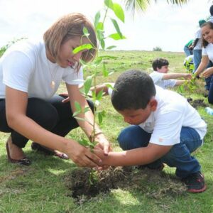 La reforestación masiva en el planeta absorbería una década de emisiones de dióxido de carbono