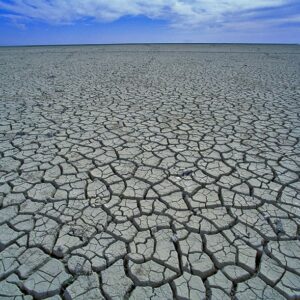 Por fin se sellarán 77 pozos ilegales que estaban drenando los acuíferos del Parque Nacional y Natural de Doñana