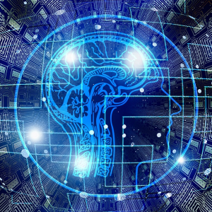 La inteligencia emocional