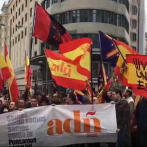 Neonazis, franquistas y falangistas estuvieron junto a Rivera, Valls, Casado y Abascal