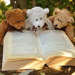 ¿Por qué gustan tanto los osos de peluche?