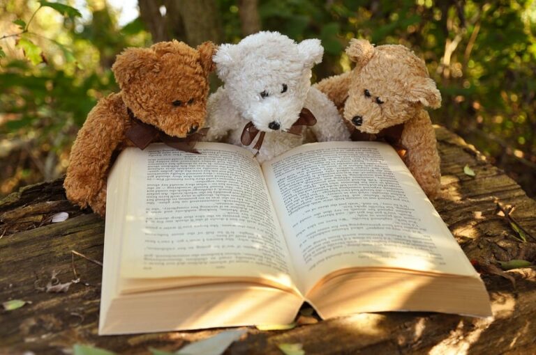 ¿Por qué gustan tanto los osos de peluche?