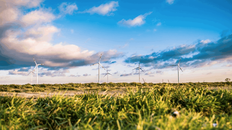 También con la energía podemos hacer portabilidad