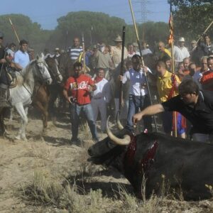 El Supremo ratifica la prohibición de matar a lanzazos al Toro de la Vega