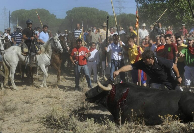 El Supremo ratifica la prohibición de matar a lanzazos al Toro de la Vega