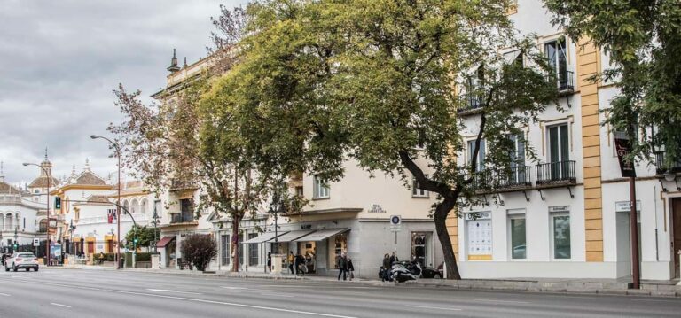 Colón 15, el nuevo centro médico privado de Sevilla