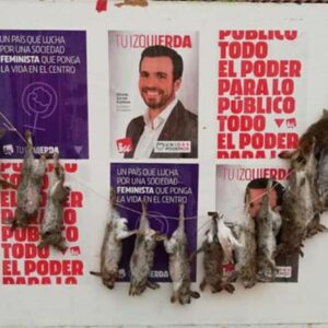 Aparecen 16 conejos muertos sobre los carteles de Unidas Podemos en un pueblo de Toledo