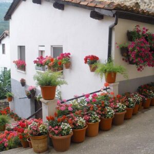 El turismo rural, cada vez más importante en Andalucía