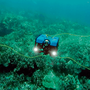 Los drones submarinos: El futuro está en las profundidades