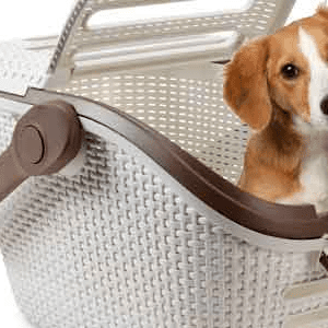 Los mejores artículos para los amantes de los animales