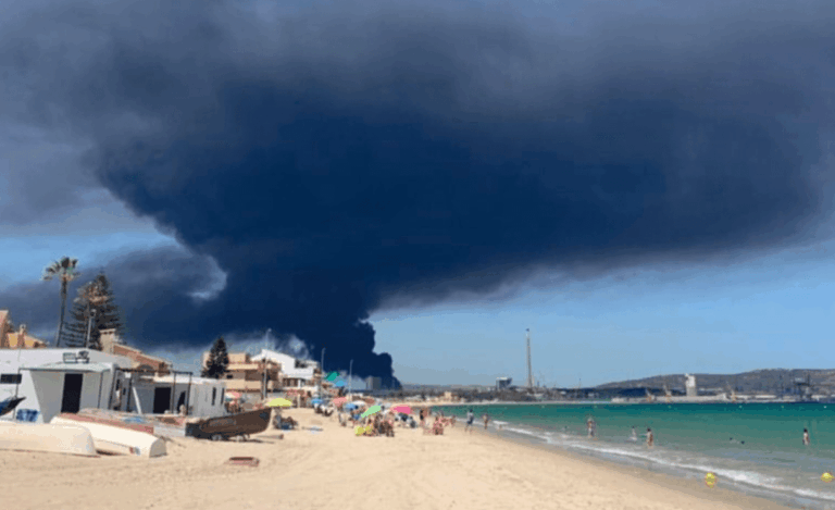 Ecologistas denuncian graves deficiencias en la gestión del incendio de Indorama