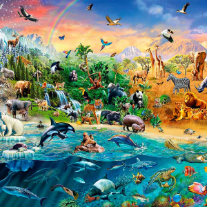 Curiosidades y elementos útiles del reino animal