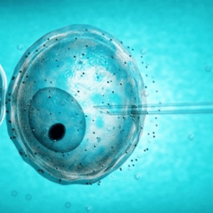 Todo lo que debes saber de la fecundación in vitro antes de someterte al tratamiento