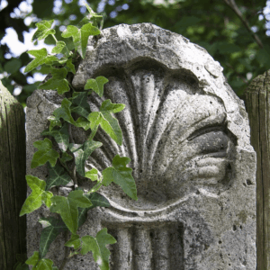 El camino de Santiago: una experiencia inolvidable