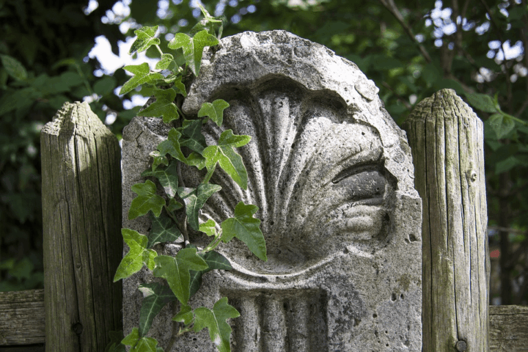 El camino de Santiago: una experiencia inolvidable