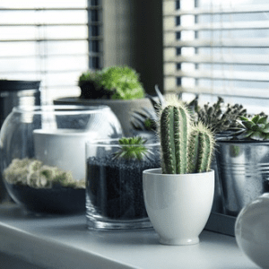 La decoración como foco para un hogar confortable