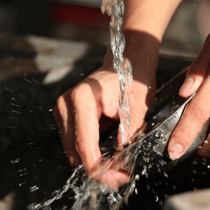 Consejos de hogar y belleza