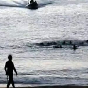 La magistrada ve indicios para imputar a 16 guardias civiles por las muertes de 15 migrantes en 2014